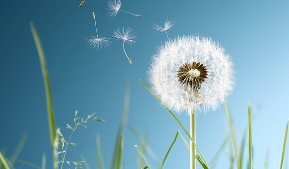 La durabilité en pratique